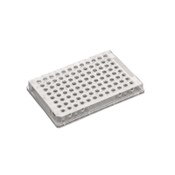 Sapphire 96 well PCR plate, 0.1mL